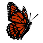 butterfly-STlogo.jpg?profile=RESIZE_180x180