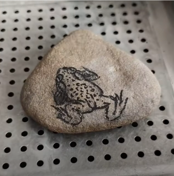 Sketch of a toad on river rock