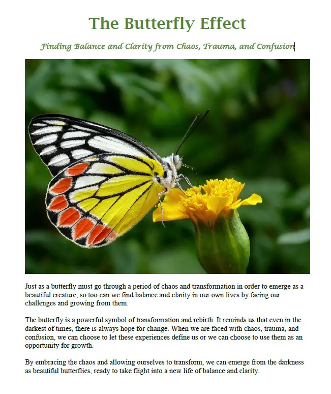 Journal Cover of, "The Butterfly Effect; Finding Balance and Clarity after Chaos and Confusion"