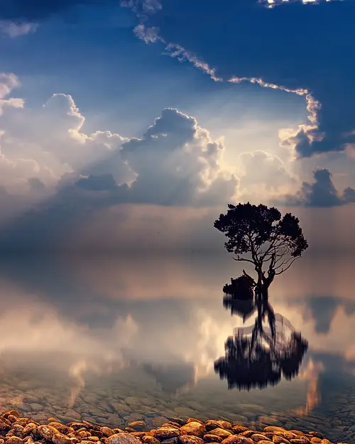 A lone tree stands in water reflecting the blue sky with brewing story clouds in a photograph of sunset in a lake area.