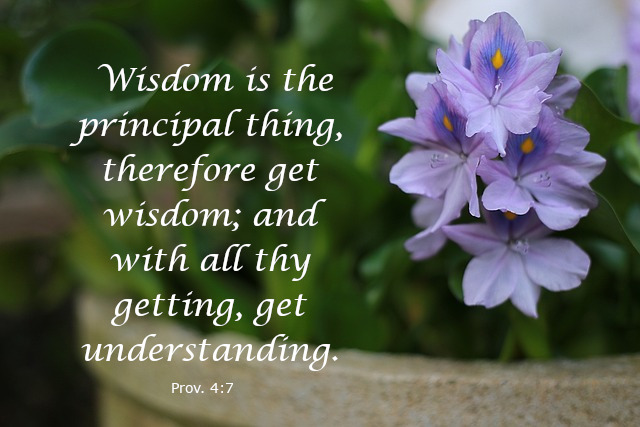 Meme. Lilac blooms emerge from a pottend plant with green foliage. The words in white overlayed on this image are from Prov. 4:7. " Wisdom is the principal thing, therefore get wisdom; and with all thy getting, get understanding."